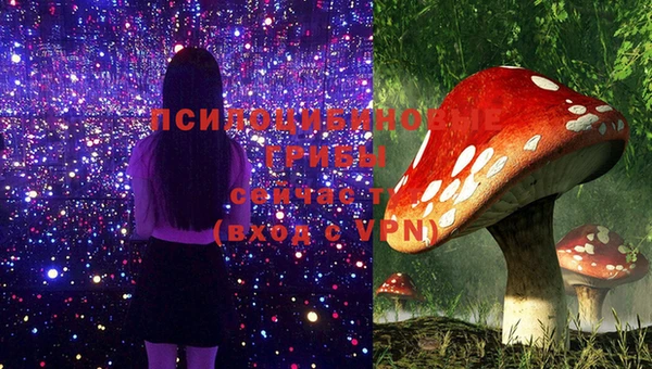 меф Арсеньев