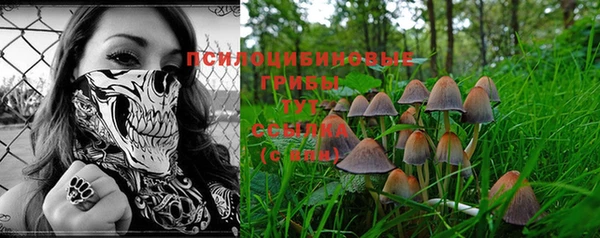 винт Аркадак