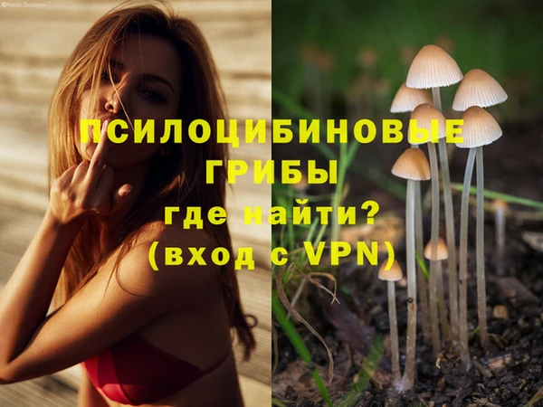 винт Аркадак
