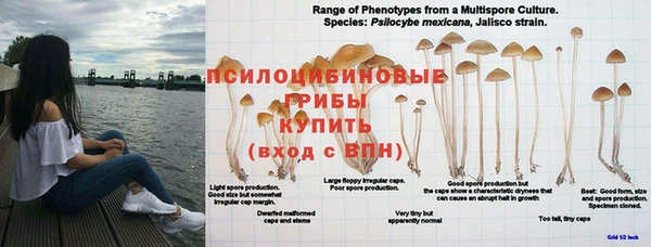 меф Арсеньев